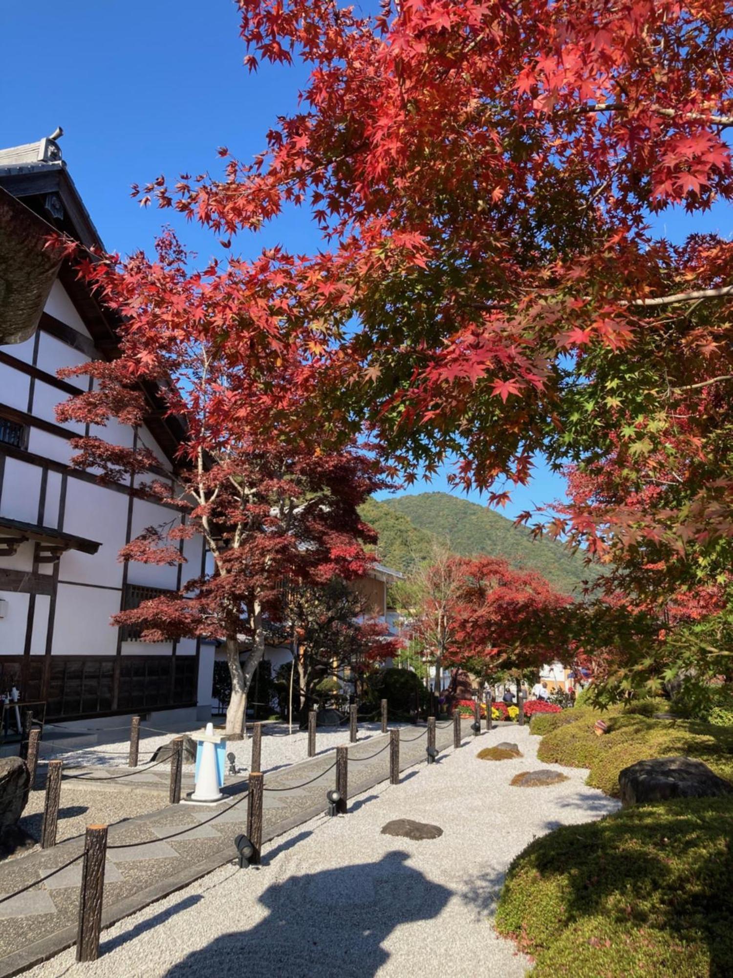 Sky Tree ⅱ（晴樹宿ⅱ） Ryokan Tokio