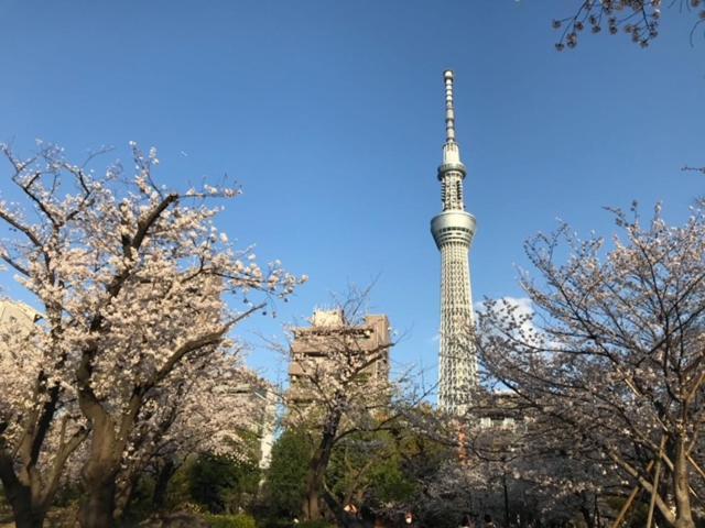 Ryokan Sky Tree ⅱ（晴樹宿ⅱ） Tokio